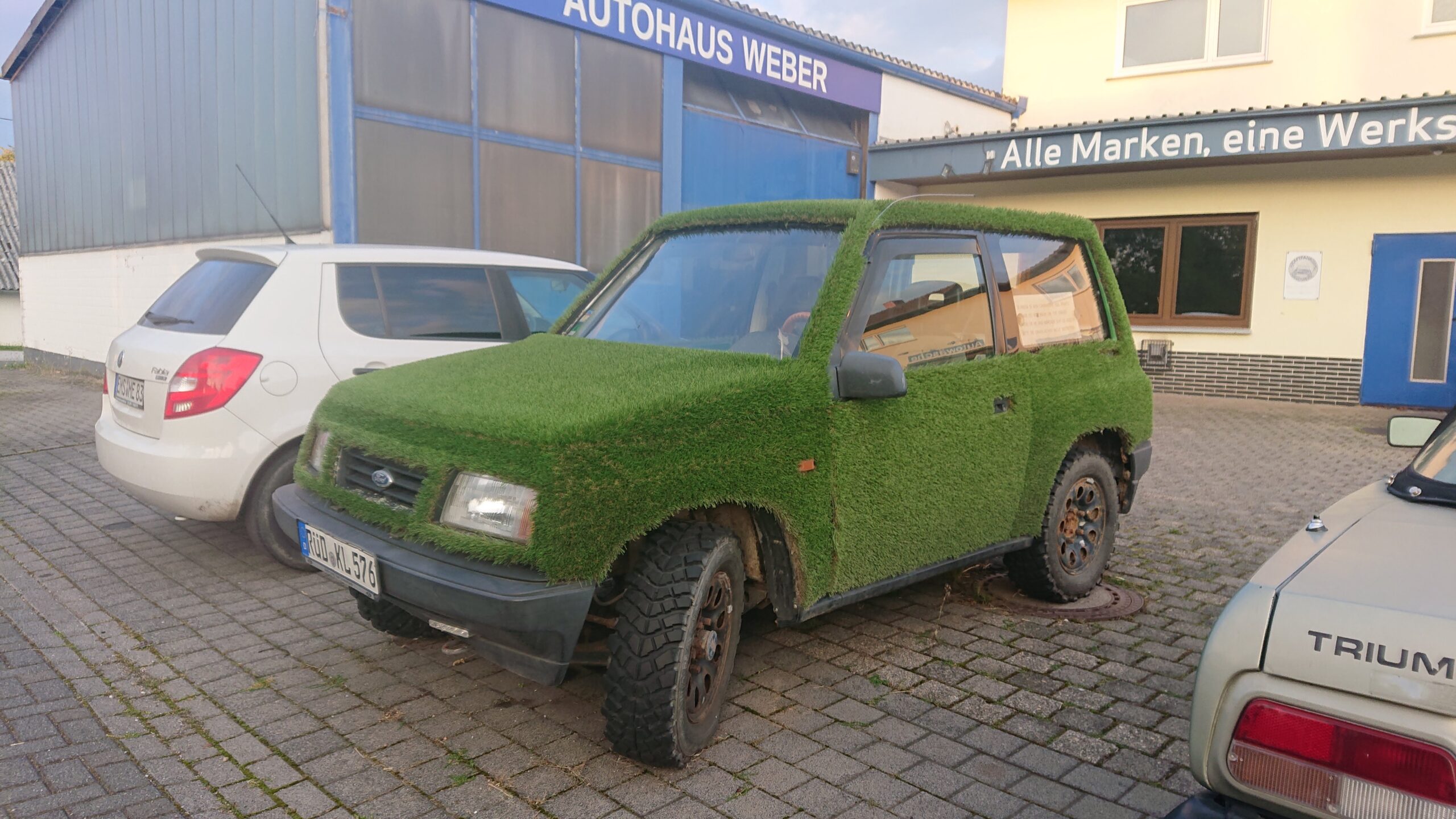 Begrüntes Auto
