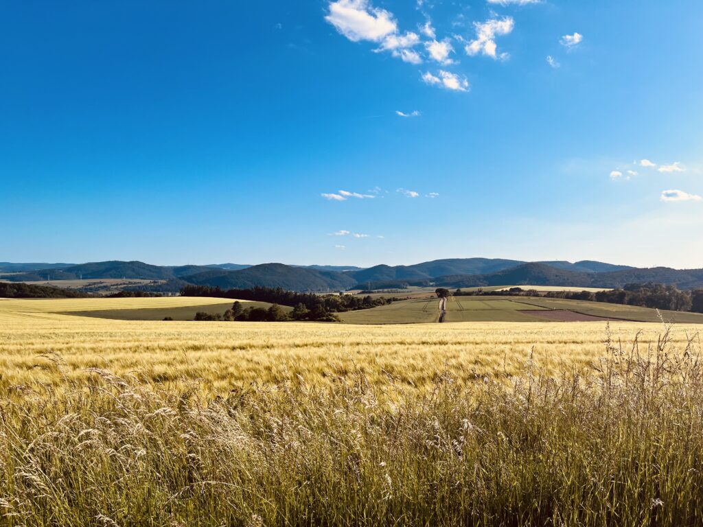 Landschaft im Sauerland